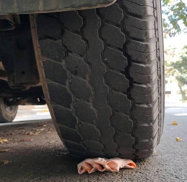 Inspection photo, Mahindra Scorpio · 2014
